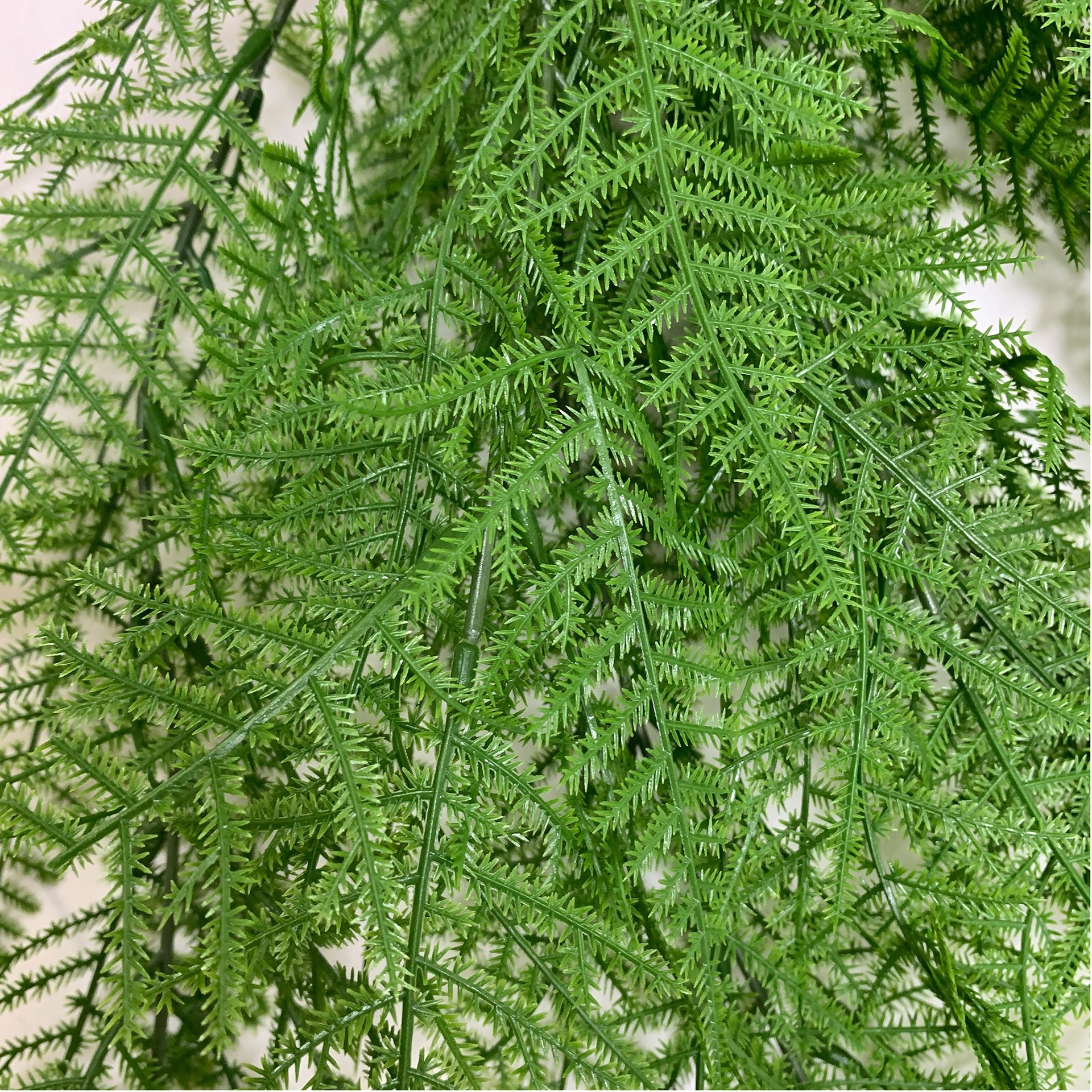 slide 3 of 3, 20" Green Asparagus Fern Bush by Ashland, 20 in