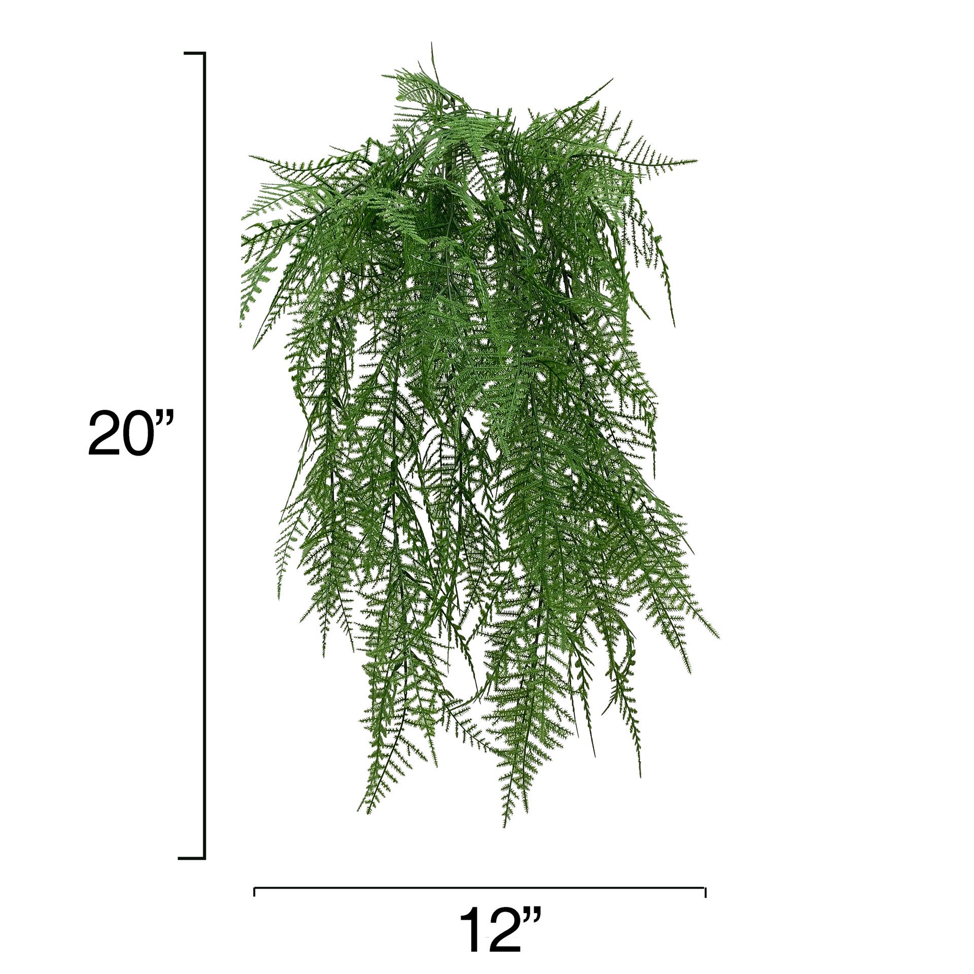 slide 2 of 3, 20" Green Asparagus Fern Bush by Ashland, 20 in