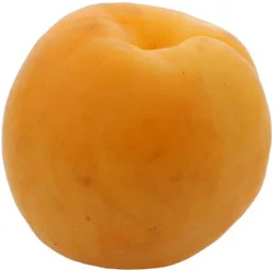 Organic Apricot Bag