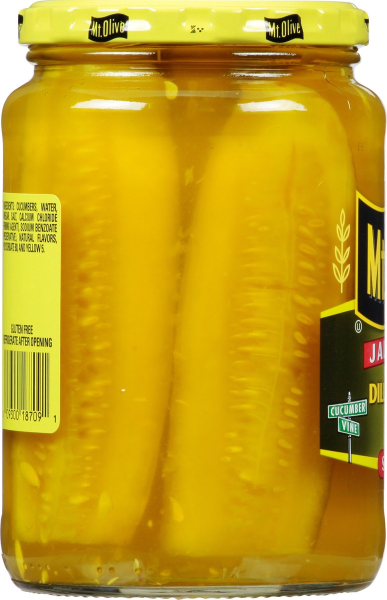 slide 6 of 9, Mt. Olive Dill Spears Jalapeno Pickles 24 fl oz, 24 fl oz