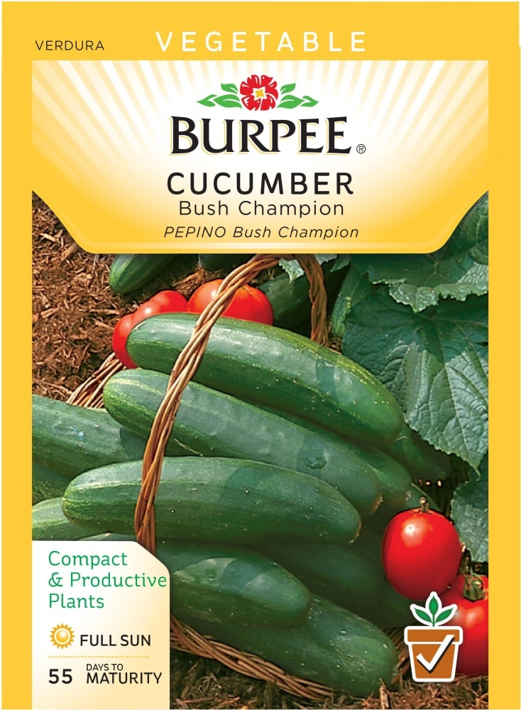 slide 1 of 1, Burpee Bush Champion Cucumber Seeds - Green, 600 mg