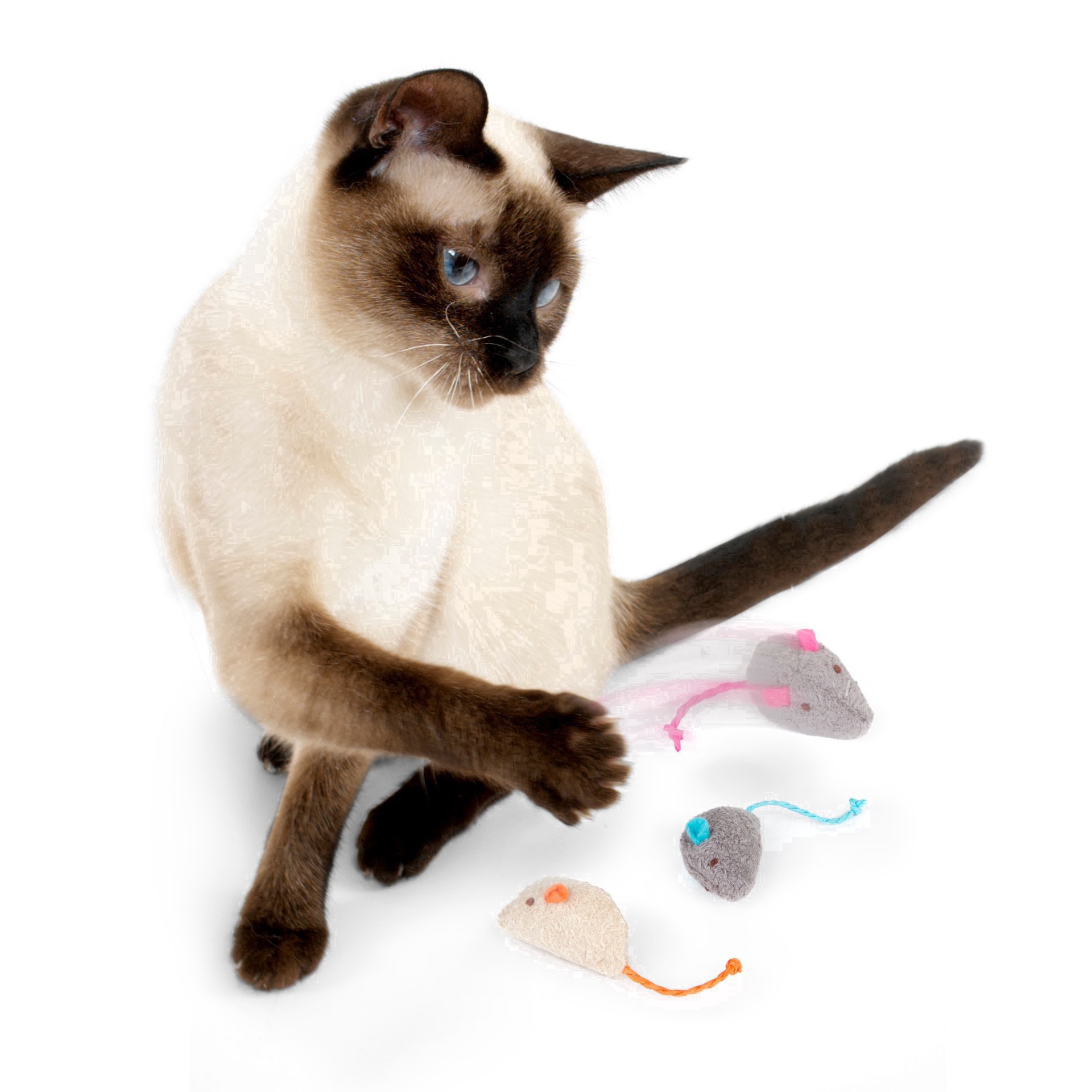 slide 52 of 102, SmartyKat Skitter Critters Catnip Mice Cat Toy - 3pk, 3 ct