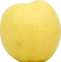 Golden Large Golden Delicious Apple