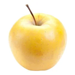 Golden Large Golden Delicious Apple