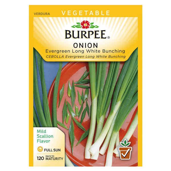 slide 1 of 1, Burpee Asian Cabbage Red Acre Seeds, 1 ct