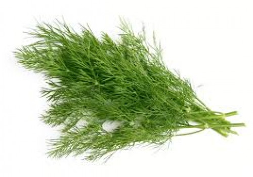 slide 1 of 1, Scissortail Dill, 0.7 oz