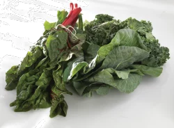 Organic Red Chard