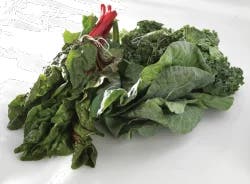 Organic Red Chard