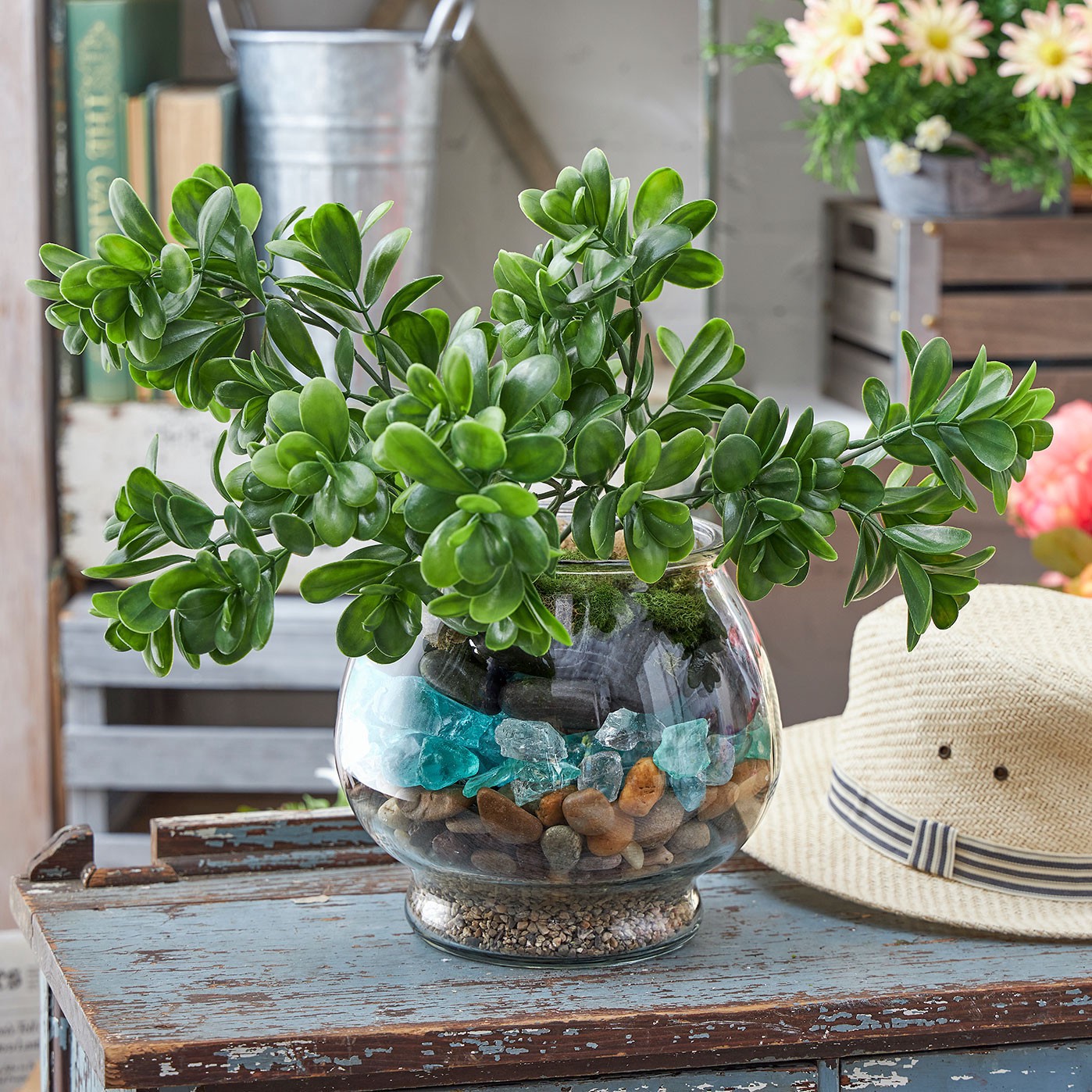 slide 2 of 3, 9" Clear Glass Terrarium By Ashland, 7 in x 7 in x 8.8 in