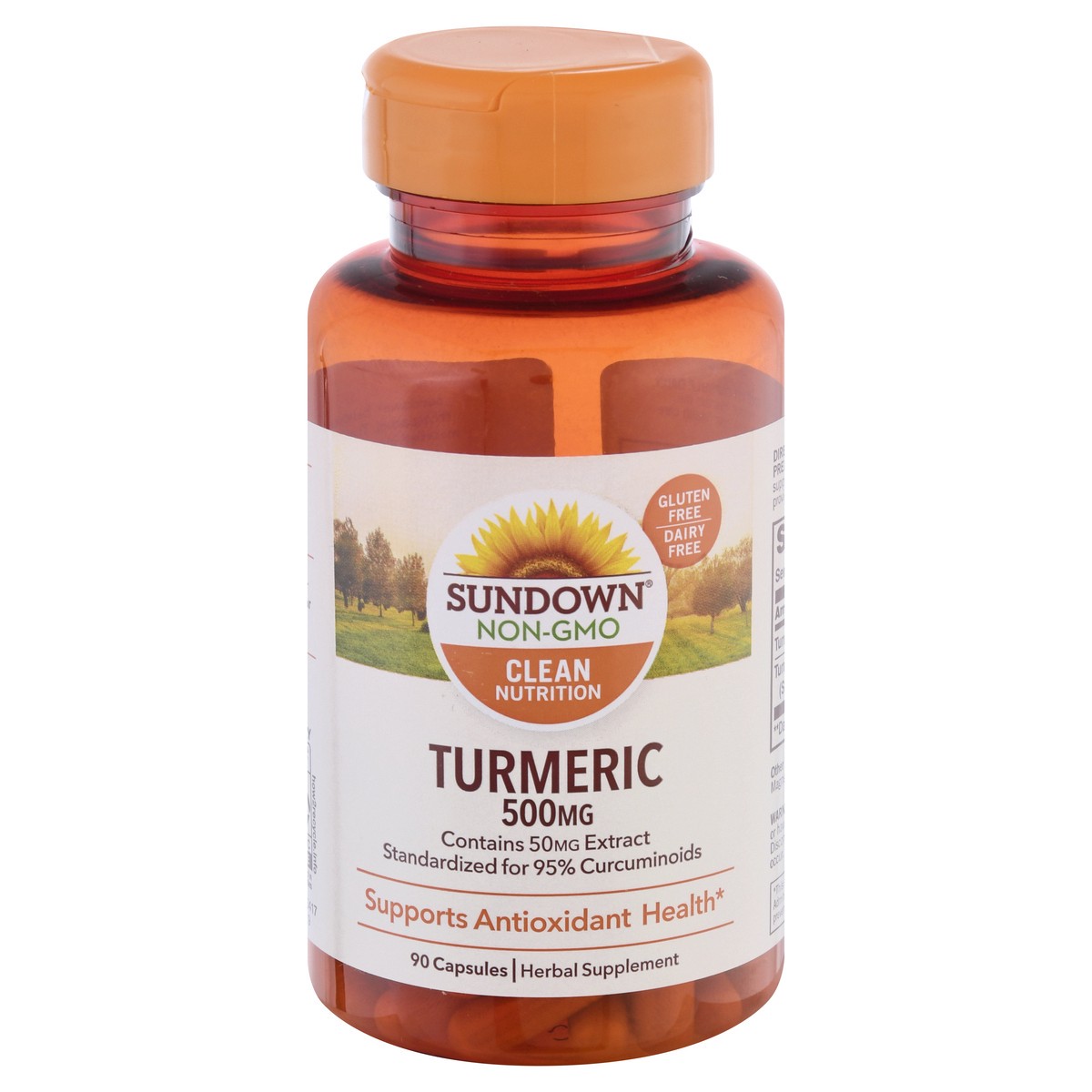 slide 1 of 9, Sundown Naturals Turmeric, 90 ct; 500 mg