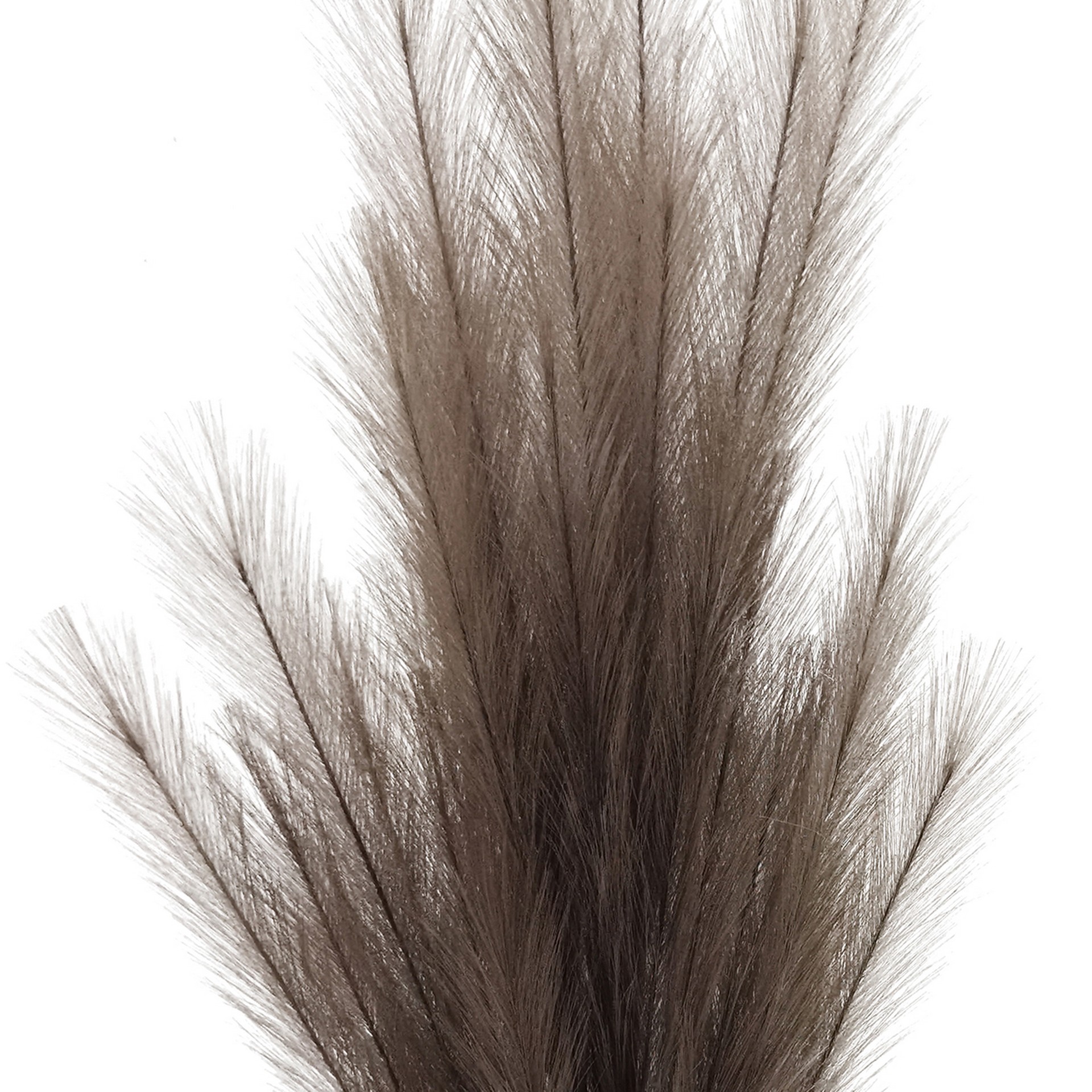 slide 3 of 3, 42" Light Brown Pampas Grass Stem By Ashland, 42 in