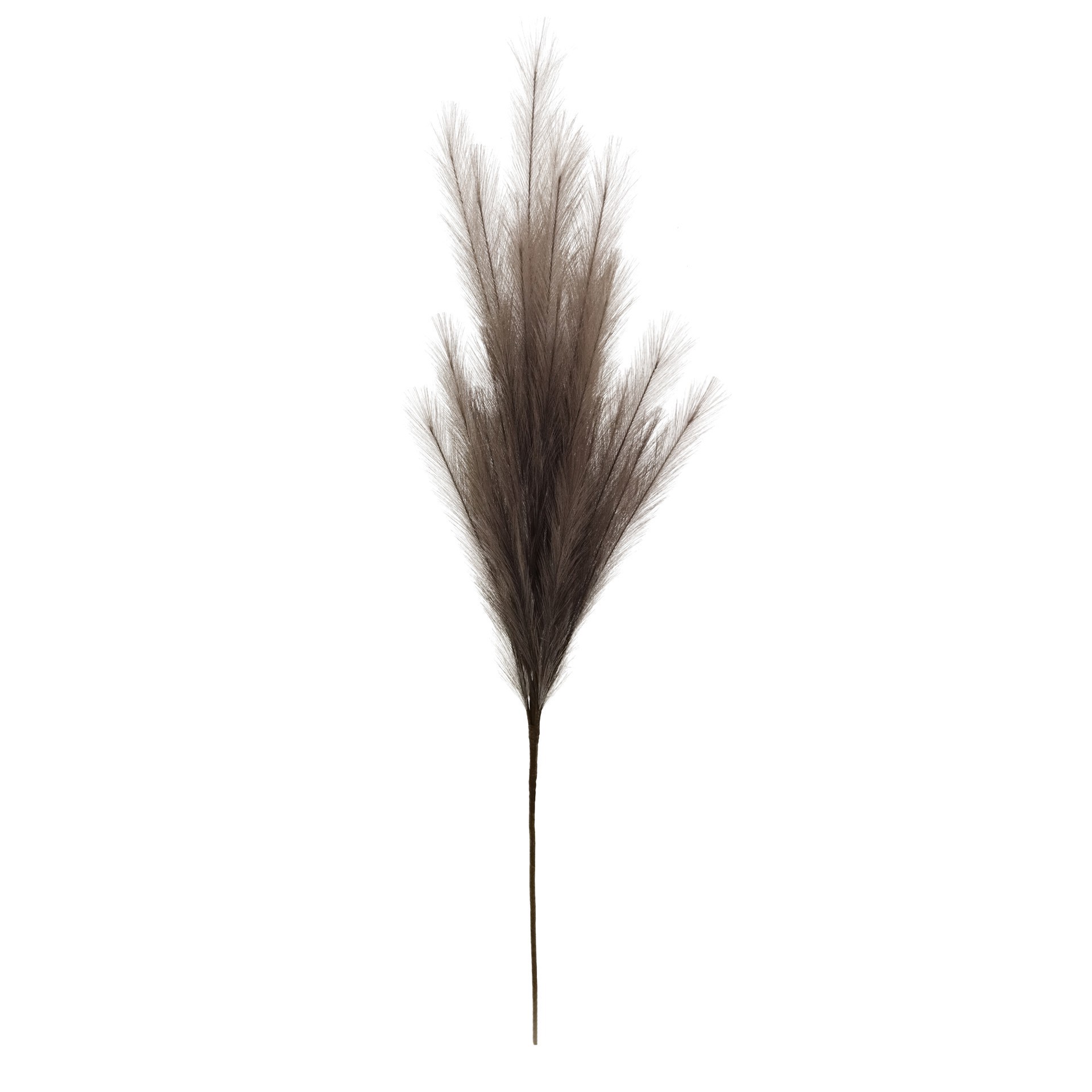 slide 2 of 3, 42" Light Brown Pampas Grass Stem By Ashland, 42 in