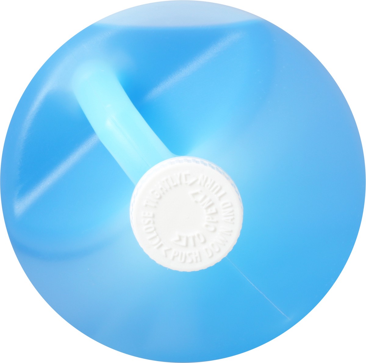 slide 9 of 9, Champion Windshield Washer Fluid Gallon, 1 ct