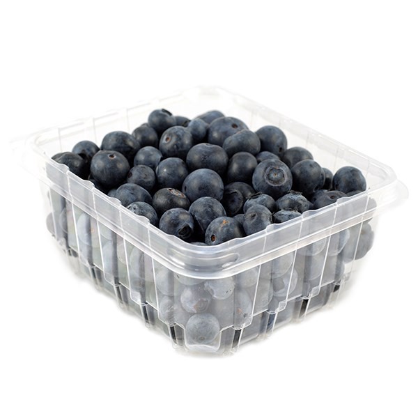 slide 1 of 1, Family Tree Farms Blueberries, 9.8 oz