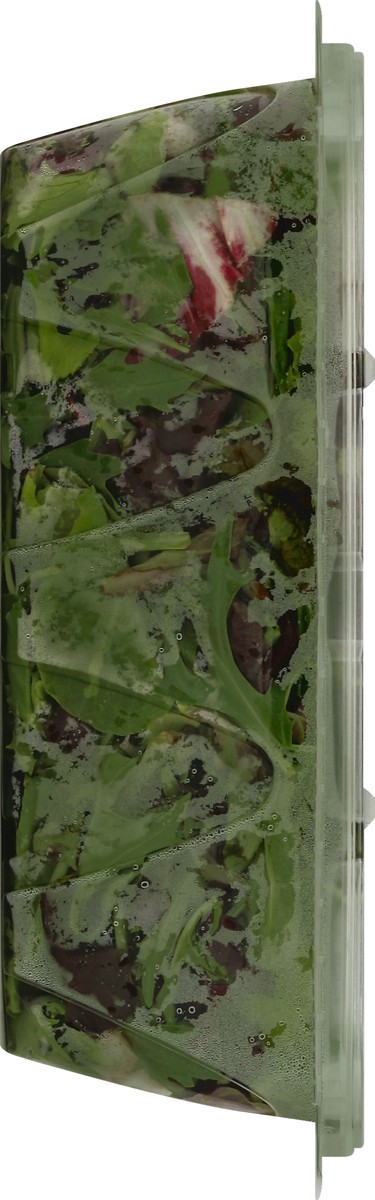 slide 4 of 4, Olivia's Organic Spring Mix, 11 oz