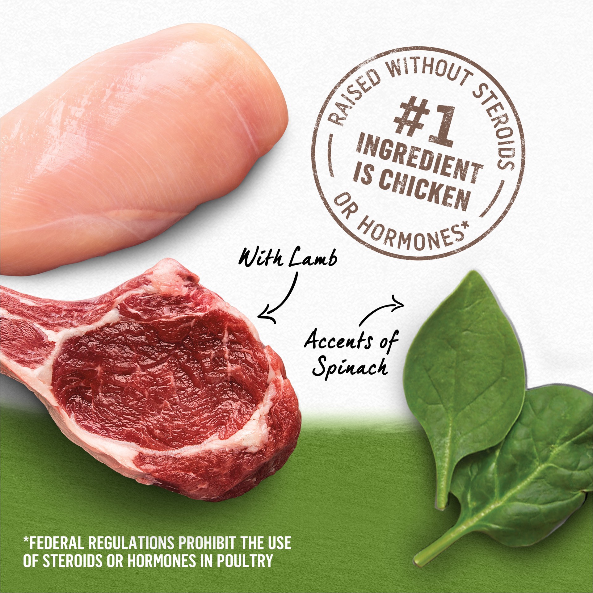 slide 3 of 8, Purina Beyond Chicken, Lamb and Spinach Ground Natural Grain Free Wet Dog Food with Added Vitamins and Minerals, 