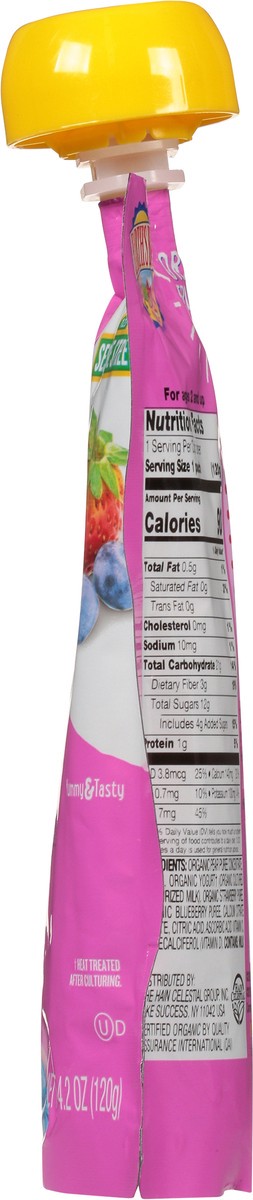 slide 4 of 9, Earth's Best Organic Mixed Berry Fruit Yogurt Smoothie 4.2 oz, 4.22 oz