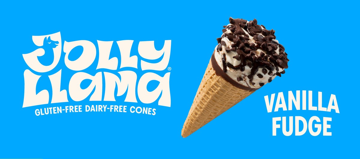 slide 2 of 9, Jolly Llama Gluten Free & Dairy Free Vanilla Fudge Sundae Cones, 14.25 fl oz