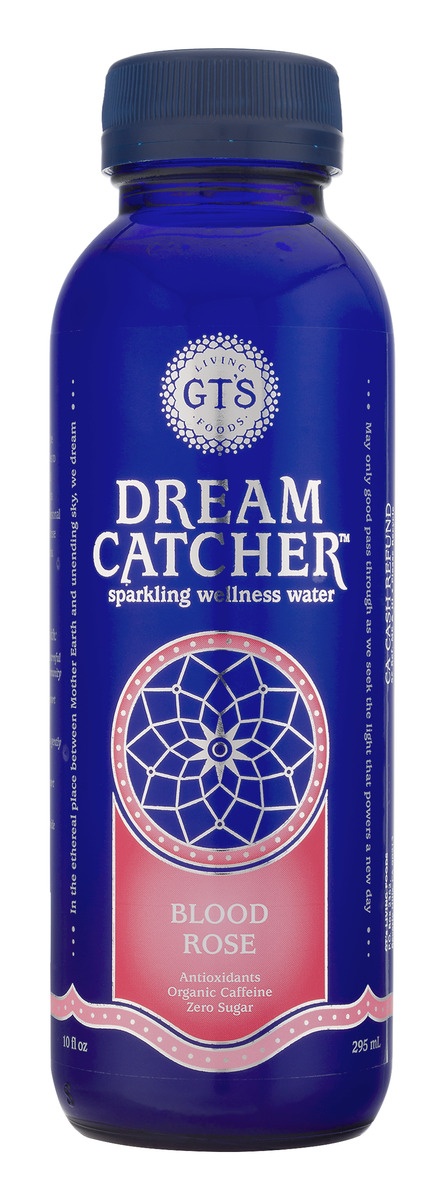 slide 1 of 1, GT's Dream Catcher Sparkling Wellness Water Blood Rose - 10 fl oz, 10 fl oz