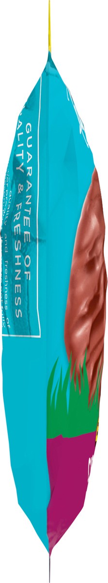 slide 3 of 13, RUSSELL STOVER Easter Chocolate Truffle Milk Chocolate Easter Egg, 1.3 oz., 1.3 oz