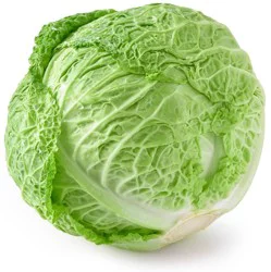 Cabbage Savoy
