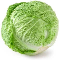 Cabbage Savoy