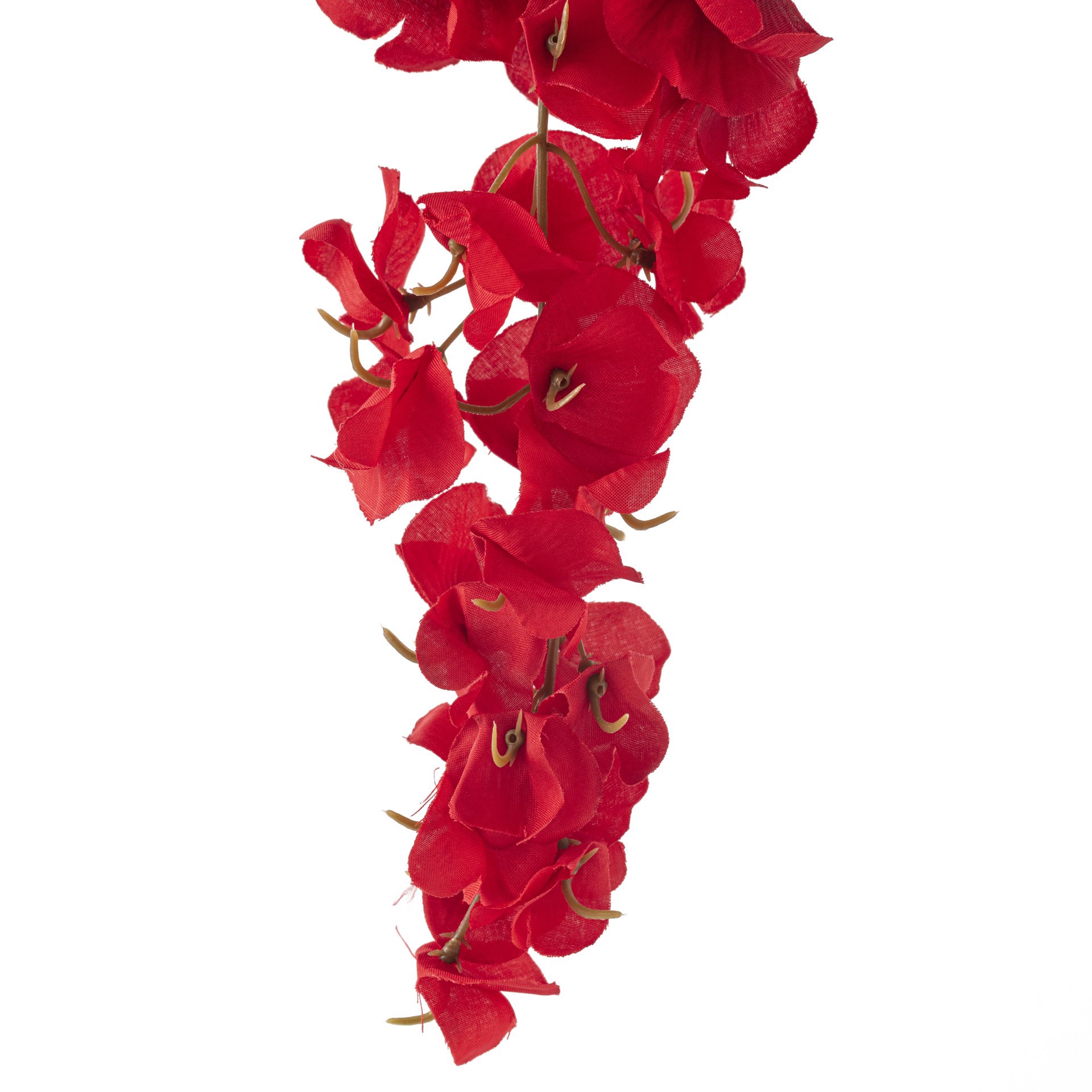 slide 3 of 5, Red Wisteria Stem By Ashland, 32 in x 10 in x 3 in