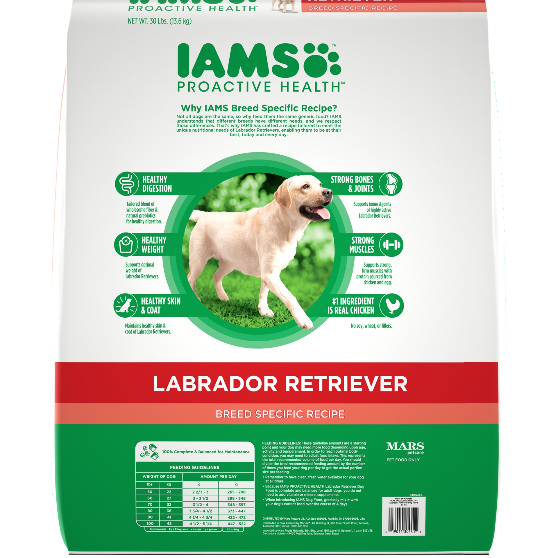 iams labrador