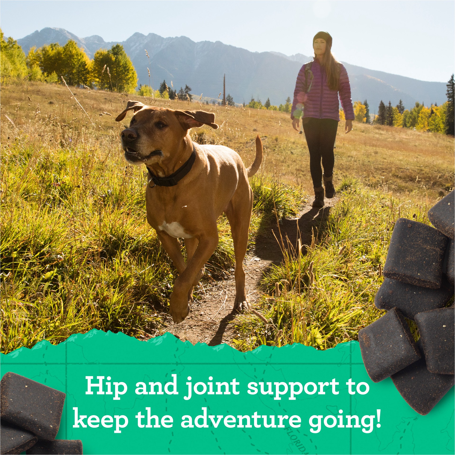 slide 5 of 9, ZUKE's HIP & JOINT BEEF RECIPE, 6 oz