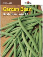 slide 1 of 1, Burpee Blue Lake 47 Bush Snap Bean Seeds - Green, 1 ct