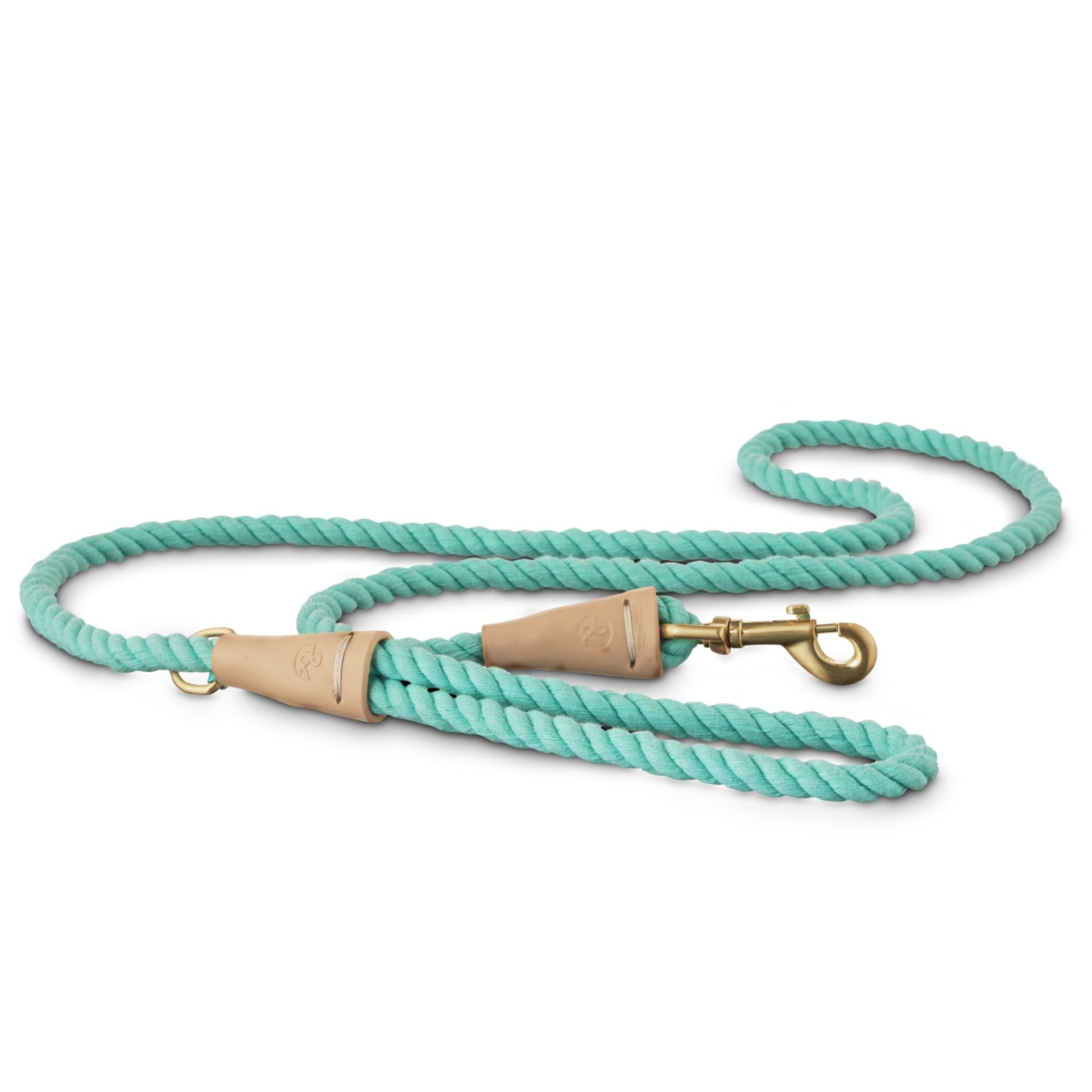 slide 1 of 1, Bond & Co. Buff and Turquoise Rope Dog Leash, SM