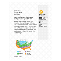 slide 5 of 5, Burpee Pumpkin Big Moon Seeds, 1 ct