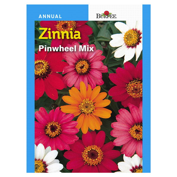 slide 1 of 1, Burpee Zinnia, Pinwheel Mix, 1 ct