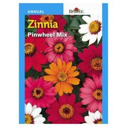 Burpee Zinnia, Pinwheel Mix