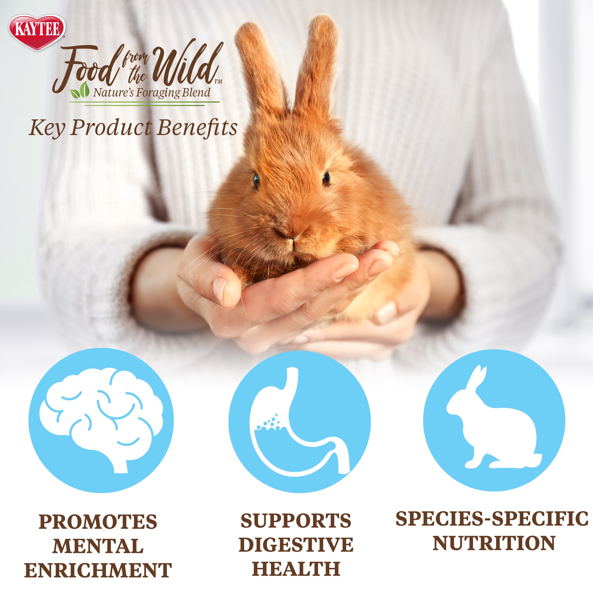 slide 8 of 10, Kaytee Food From The Wild Rabbit Food, 4 pounds, Forage Complex, 1 ct