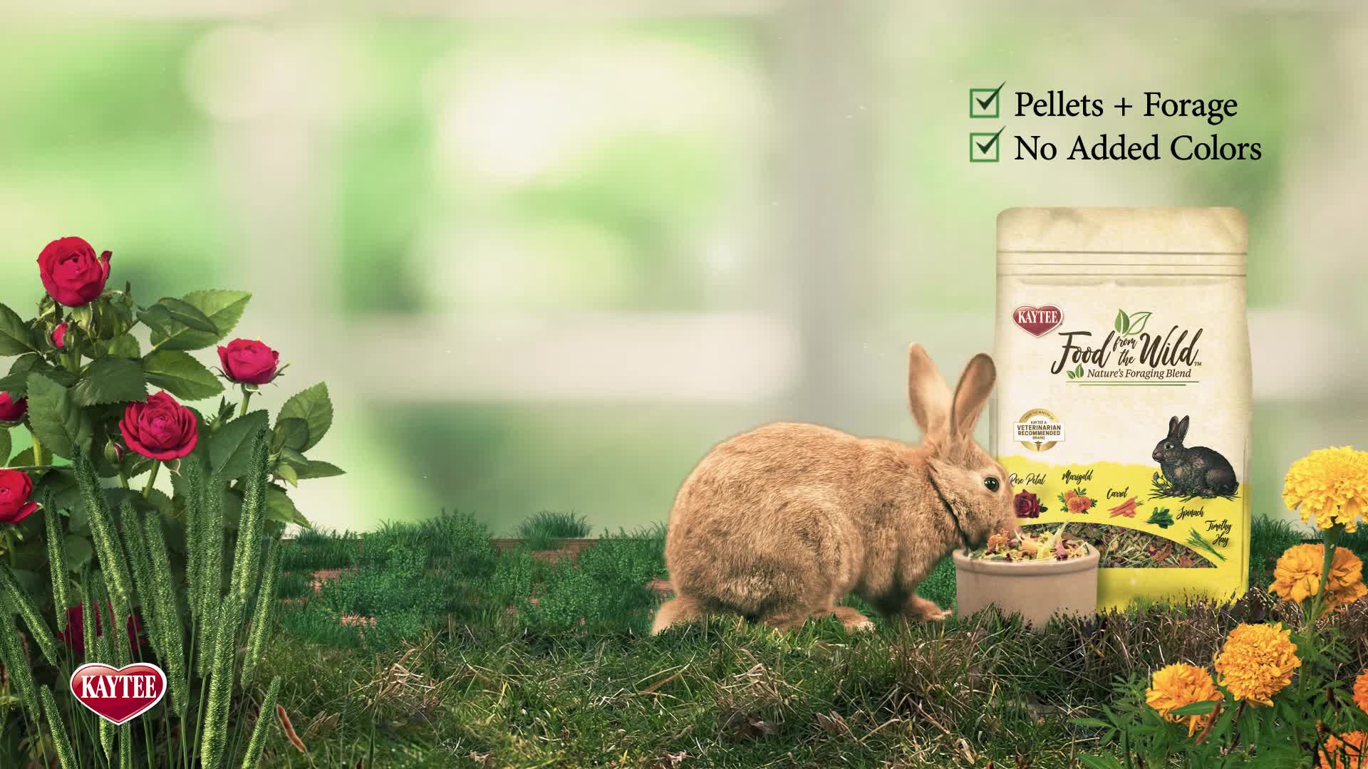 slide 10 of 10, Kaytee Food From The Wild Rabbit Food, 4 pounds, Forage Complex, 1 ct