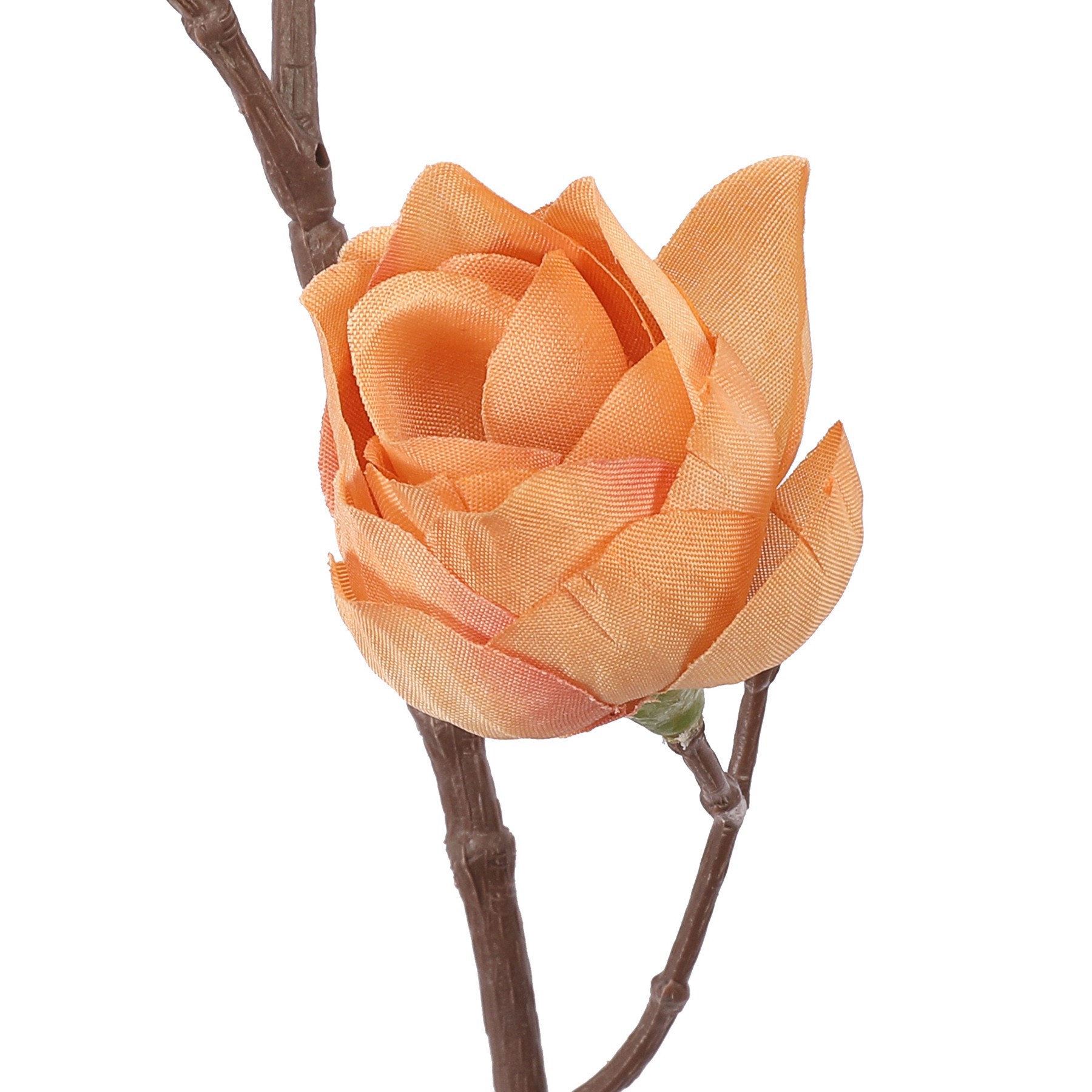 slide 2 of 2, 34" Peach Hops Stem By Ashland, 5 in x 2 in x 34 in