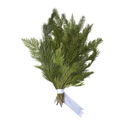 Debi Lilly Design Debi Lilly Festive Holiday Greens - EACH