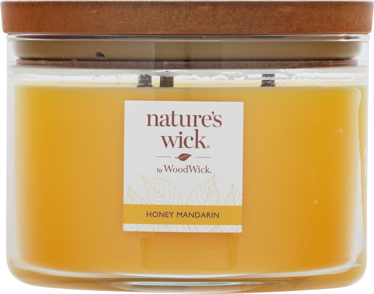 slide 4 of 12, Nature's Wick Honey Mandarin Candle 1 ea, 1 ct