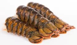Wild Caught Small Lobster Tail Previously Frozen