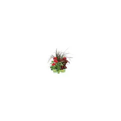 Cub Floral 4.5 Pot Stuffers, 1 Each