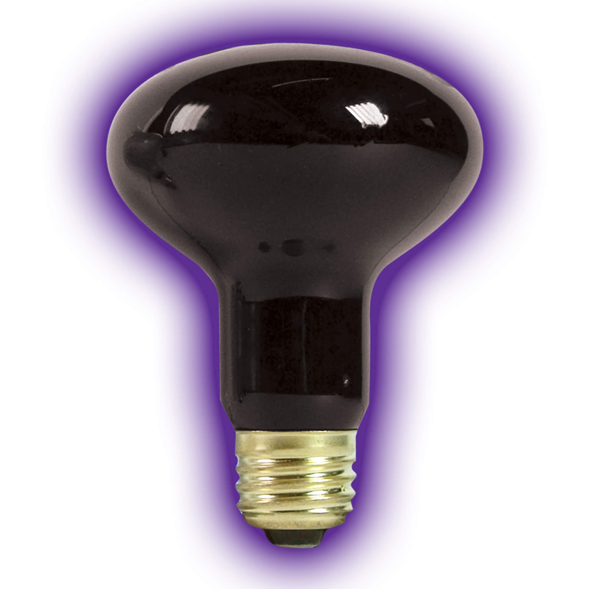 slide 6 of 6, Zilla Incandescent Spot Bulbs Night Black 100 Watts, 1 ct