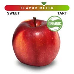 Organic Cosmic Crisp Apple