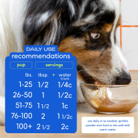 slide 11 of 13, Native Pet Real Beef Bone Broth Powder Dog Food Topper, 4.75 oz., 4.75 oz