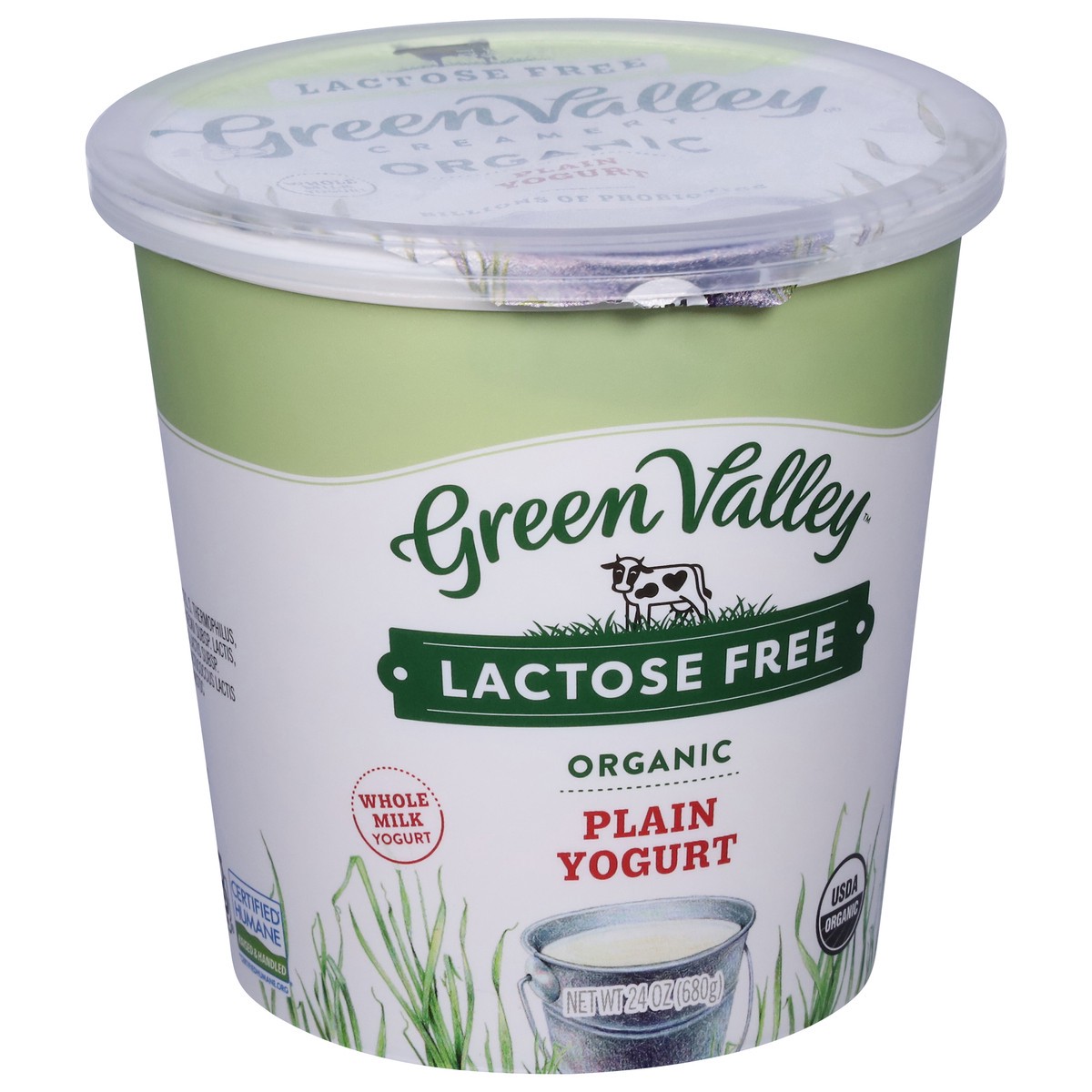 slide 3 of 9, Green Valley Organics Lactose Free Organic Plain Yogurt 24 oz, 24 oz