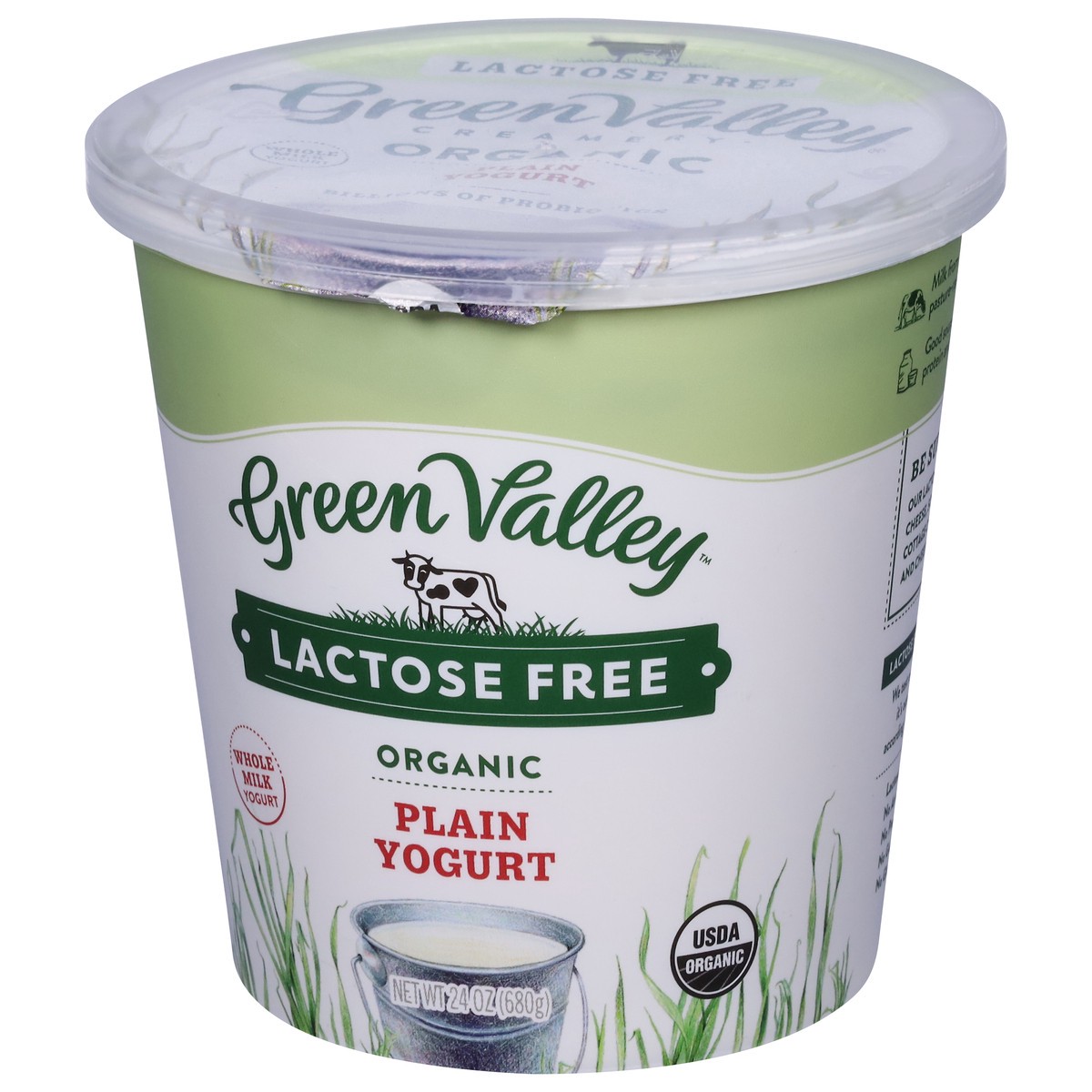 slide 2 of 9, Green Valley Organics Lactose Free Organic Plain Yogurt 24 oz, 24 oz