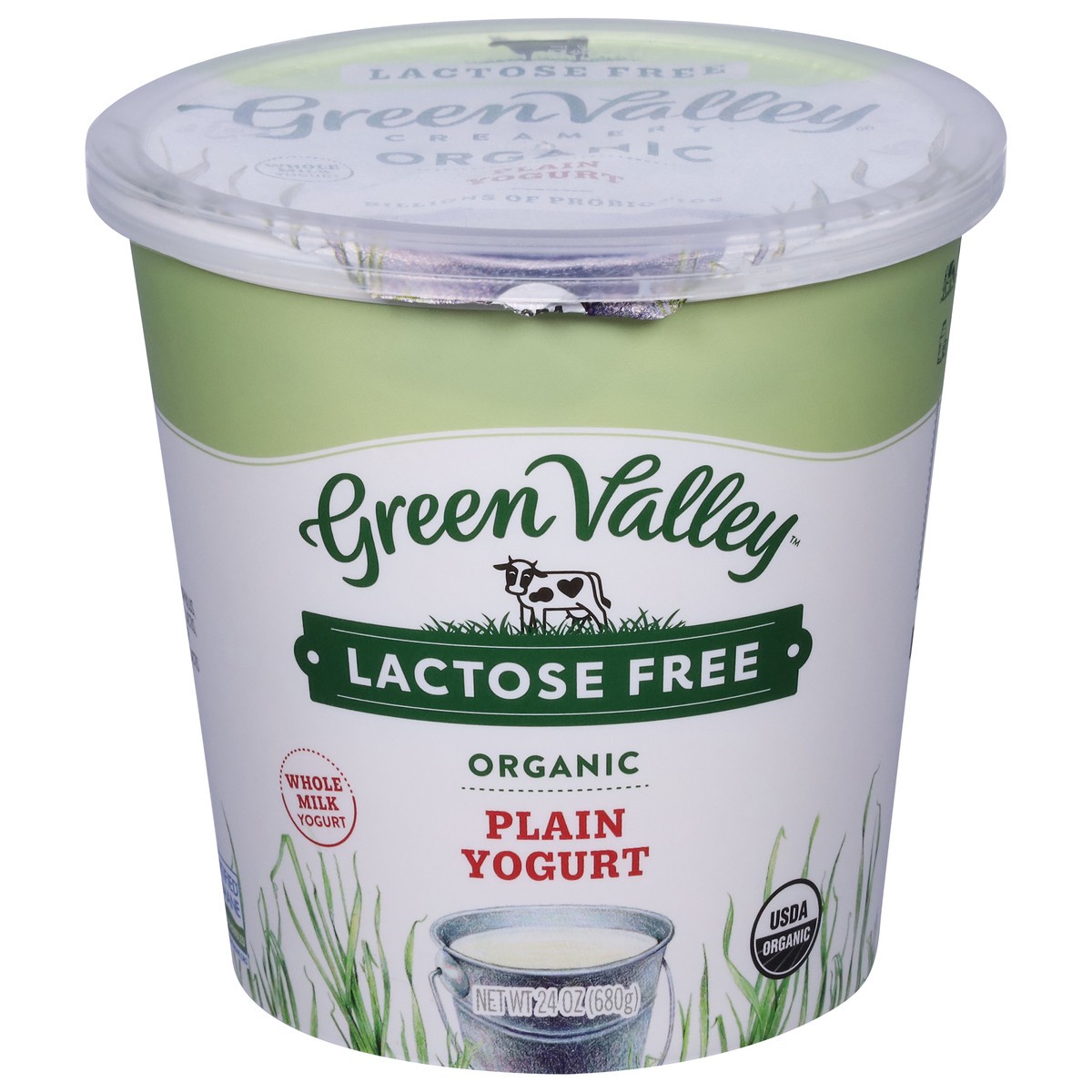 slide 1 of 9, Green Valley Organics Lactose Free Organic Plain Yogurt 24 oz, 24 oz