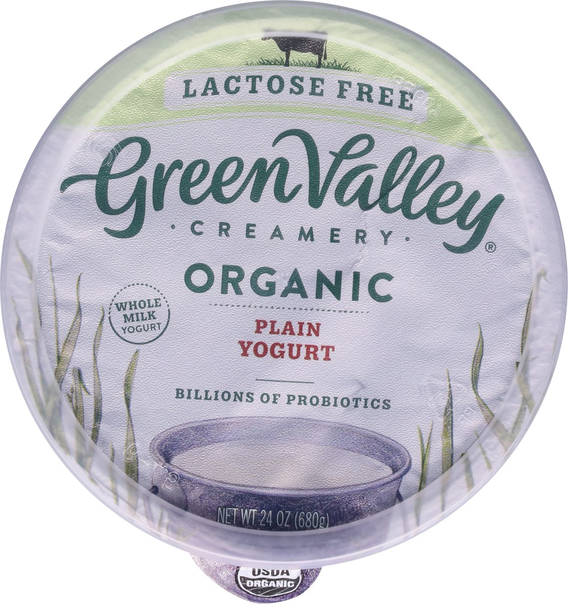 slide 7 of 9, Green Valley Organics Lactose Free Organic Plain Yogurt 24 oz, 24 oz