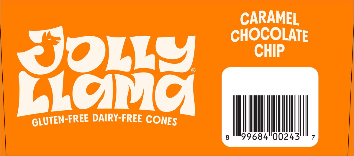 slide 2 of 9, Jolly Llama Gluten Free & Dairy Free Caramel Chocolate Chip Cones, 14.25 fl oz