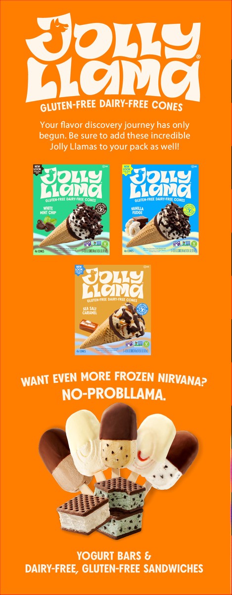 slide 8 of 9, Jolly Llama Gluten Free & Dairy Free Caramel Chocolate Chip Cones, 14.25 fl oz